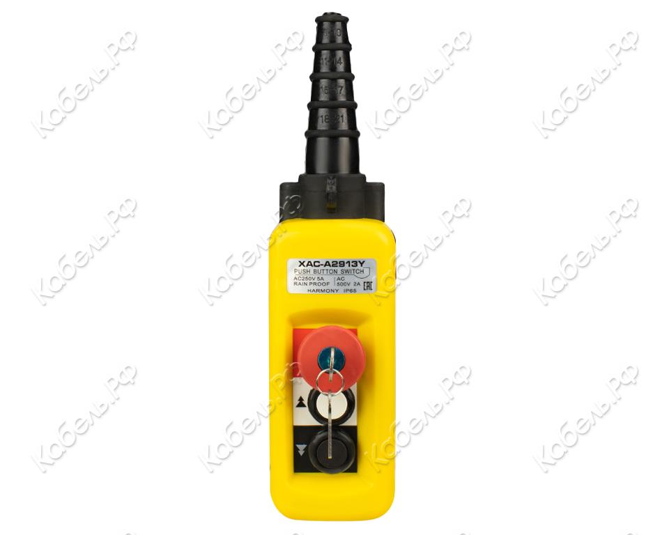 Изображение товара Пульт управления EURO-LIFT 2 кн 2 ст СТОП БУТОН ключ XАC-A2913Y