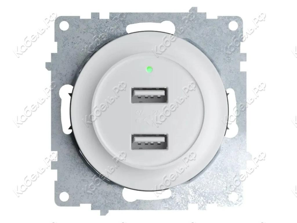 Изображение товара Розетка двойная USB OneKeyElectro с подсветкой белый ССТ 2260089