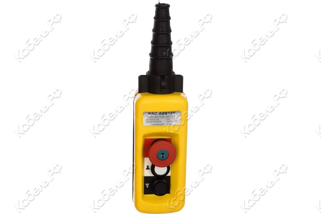 Изображение товара Пульт EURO-LIFT 2 кн. 2 ст.+авар. стоп+ключ 00012434