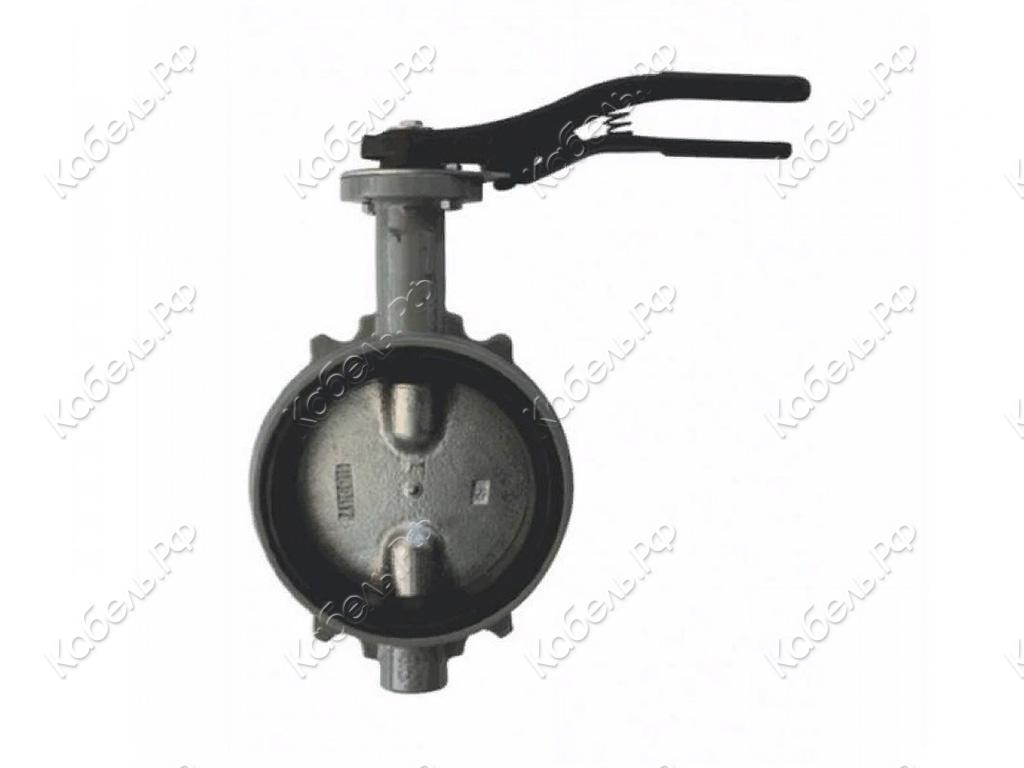 Изображение товара Затвор поворотный дисковый R59W Ду50 Ру16 Giacomini чугунный