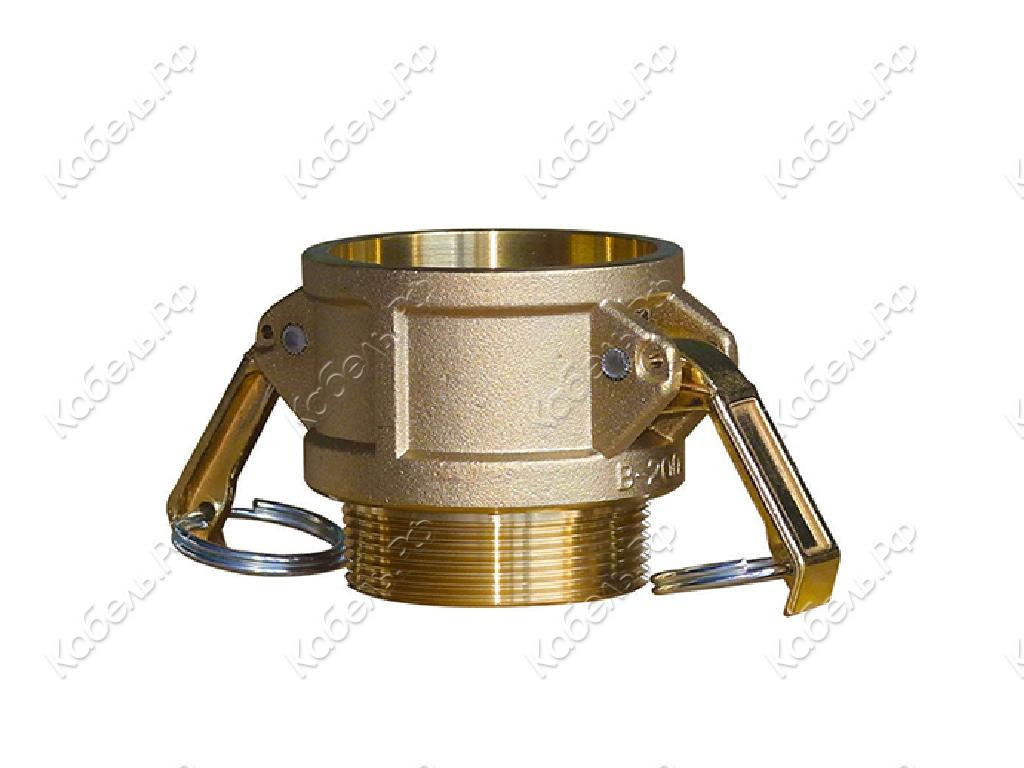 Изображение товара Камлок B-2 51 мм латунь TITAN LOCK TL200BBR