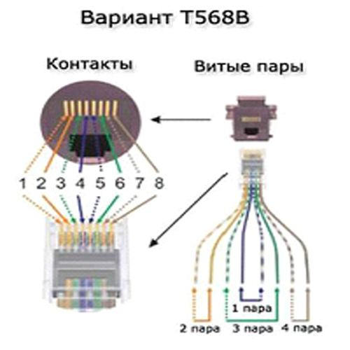 Наградные розетки для выставок собак на заказ - Лучший друг - форум о собаках - Страница 6